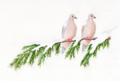 Mourning Doves <i>Zenaida macroura</i>