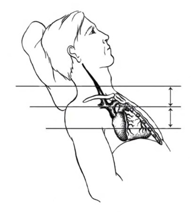 Heart position